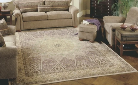 Nourison area rugs